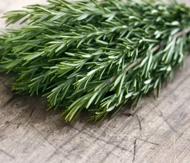 9 Plants That Mosquitoes Hate